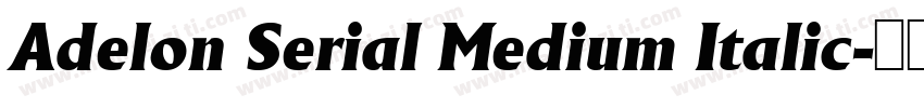 Adelon Serial Medium Italic字体转换